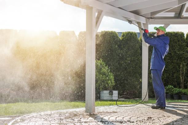 Best Solar Panel Cleaning  in Plainfield, NJ